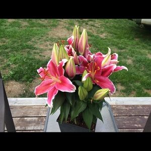 Meet your Posher, Sandy